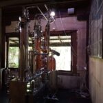 <trp-post-container data-trp-post-id='31399'>Liam Anderson</trp-post-container>